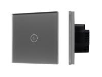 Выключатель сенсорный SWT-OMALI-S01-ZB-GR (250V, 10A, Zigbee)