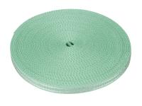 Ремень токопроводящий SL-LINE-W20-BELT 5m MINT (Arlight, провод 2x0.5)