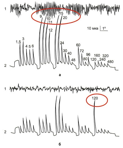 Соблюдение нормативов рисунок 2.jpg