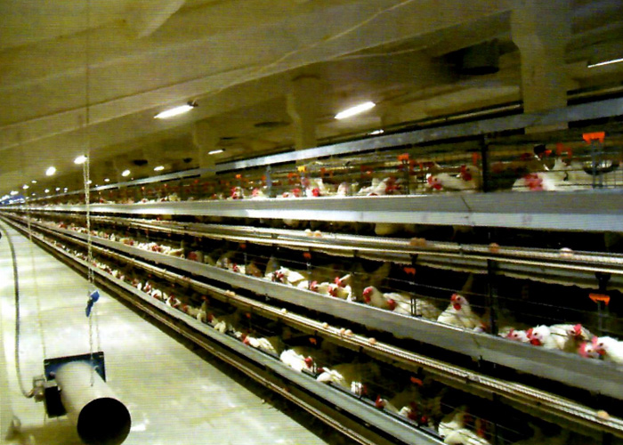 Рисунок 3.jpg