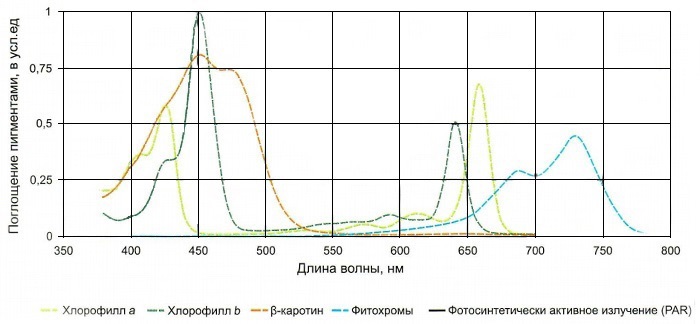 Растениеводство 2.jpg