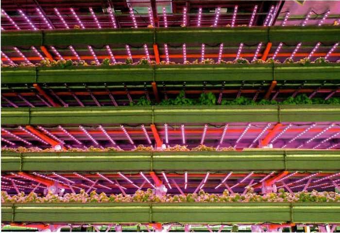 Растениеводство 1.jpg