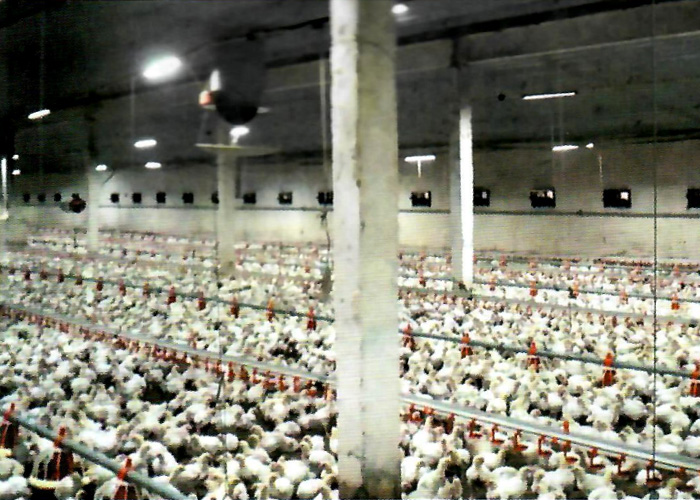 Рисунок 6.jpg