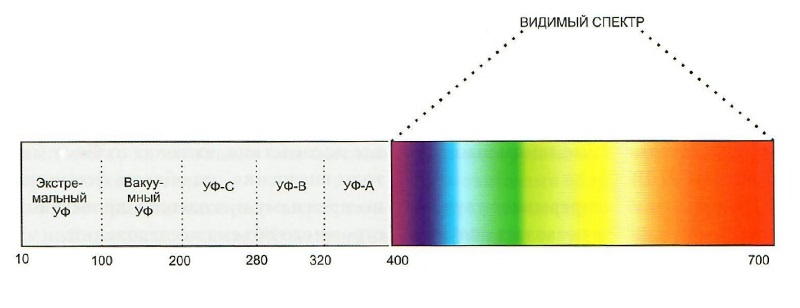 Длина волны ультрафиолетового света равна. Ультрафиолет 400 НМ. Диапазон длин волн ультрафиолетового излучения. УФ диапазон длин волн. Спектры УФ излучения.