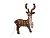 Олень 