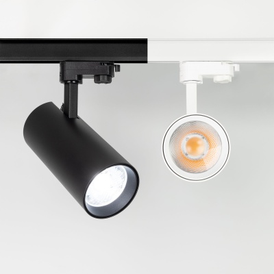 Купить Линза ARL-36CBT-D75 (без оправы) в Москве