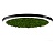 Halo Moss (64/D-1050)